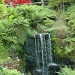 DSC_0060.JPG