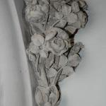 DSC_0088.JPG